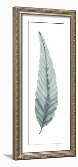 Salix Rubens-Sandra Jacobs-Framed Giclee Print