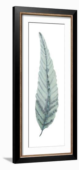 Salix Rubens-Sandra Jacobs-Framed Giclee Print