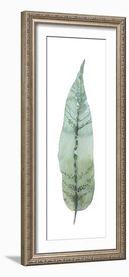 Salix Tristis-Sandra Jacobs-Framed Giclee Print