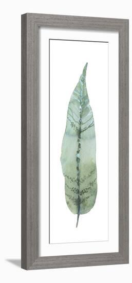 Salix Tristis-Sandra Jacobs-Framed Giclee Print