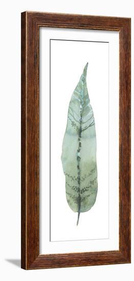 Salix Tristis-Sandra Jacobs-Framed Giclee Print