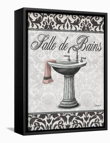 Salle De Bains-Todd Williams-Framed Stretched Canvas