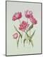 Premium Giclee Print