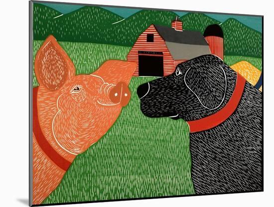 Sally Goes To The Farm-Stephen Huneck-Mounted Premium Giclee Print