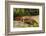 Sally Lightfoot Crab along Shoreline-DLILLC-Framed Photographic Print