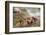 Sally Lightfoot Crab in the Sand-DLILLC-Framed Photographic Print