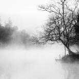 Fog on the Lake 2-Sally Linden-Photographic Print