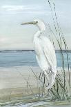 Wading Egret I-Sally Swatland-Art Print