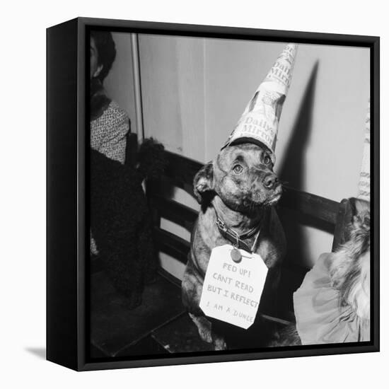 Sally the Dog at Annual Dogs Christmas Party in Bristol, 1958-Maurice Tibbles-Framed Premier Image Canvas