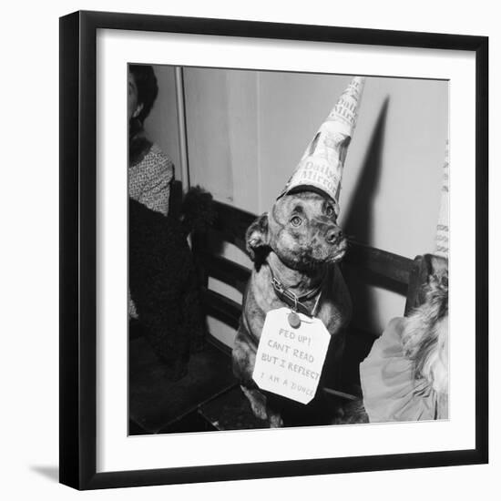 Sally the Dog at Annual Dogs Christmas Party in Bristol, 1958-Maurice Tibbles-Framed Photographic Print