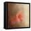 Salmon Azaleas-Jai Johnson-Framed Premier Image Canvas