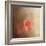 Salmon Azaleas-Jai Johnson-Framed Giclee Print