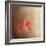 Salmon Azaleas-Jai Johnson-Framed Giclee Print