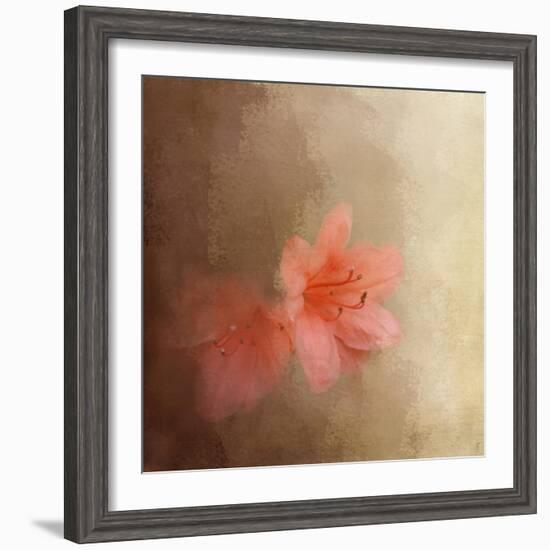 Salmon Azaleas-Jai Johnson-Framed Giclee Print