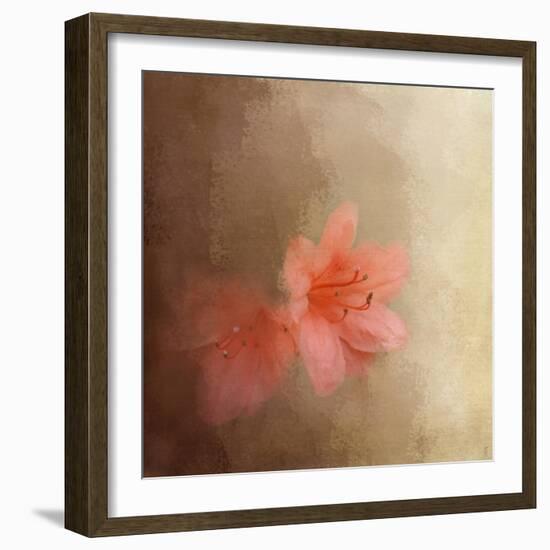 Salmon Azaleas-Jai Johnson-Framed Giclee Print