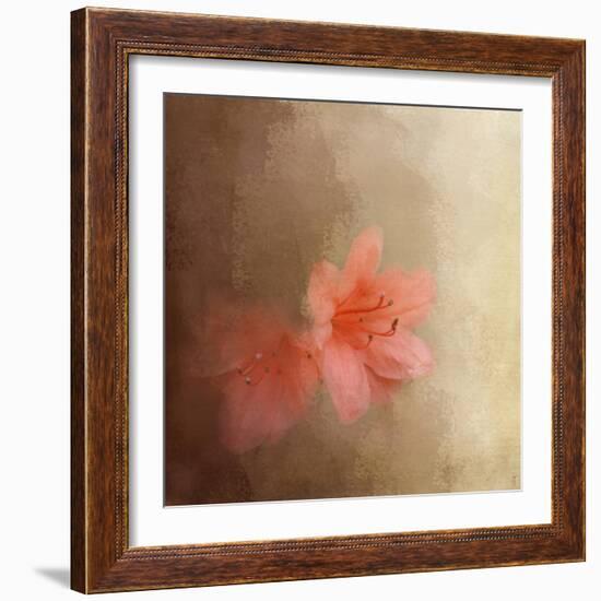 Salmon Azaleas-Jai Johnson-Framed Giclee Print