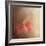 Salmon Azaleas-Jai Johnson-Framed Giclee Print