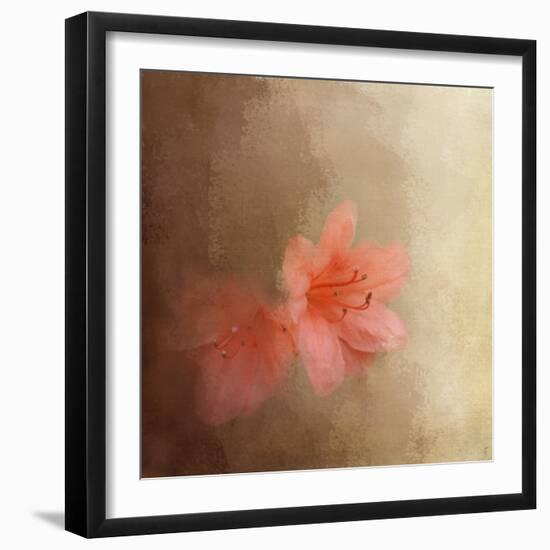 Salmon Azaleas-Jai Johnson-Framed Giclee Print