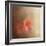 Salmon Azaleas-Jai Johnson-Framed Giclee Print