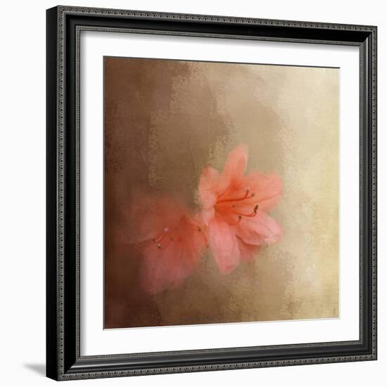 Salmon Azaleas-Jai Johnson-Framed Giclee Print