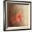 Salmon Azaleas-Jai Johnson-Framed Giclee Print