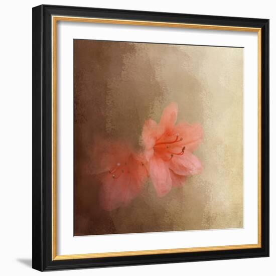 Salmon Azaleas-Jai Johnson-Framed Giclee Print