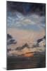 Salmon Clouds, 2011 (Oil on Canvas)-Antonia Myatt-Mounted Giclee Print