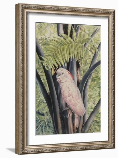 Salmon-crested Cockatoo, 1988-Sandra Lawrence-Framed Giclee Print