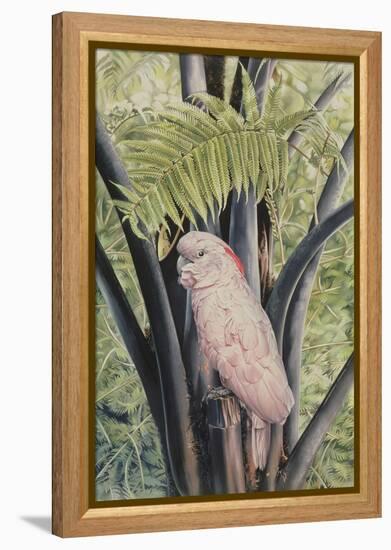 Salmon-crested Cockatoo, 1988-Sandra Lawrence-Framed Premier Image Canvas
