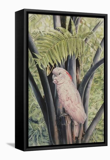 Salmon-crested Cockatoo, 1988-Sandra Lawrence-Framed Premier Image Canvas