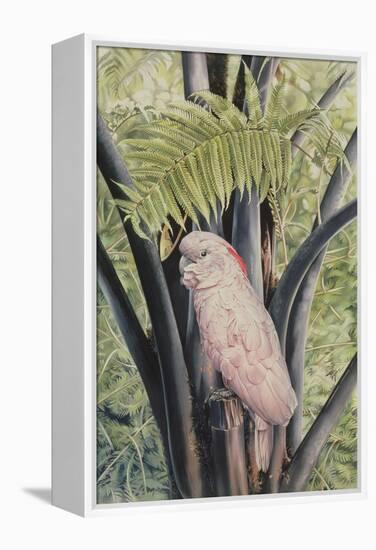 Salmon-crested Cockatoo, 1988-Sandra Lawrence-Framed Premier Image Canvas