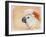 Salmon Crested Cockatoo Portrait 1-Jai Johnson-Framed Giclee Print