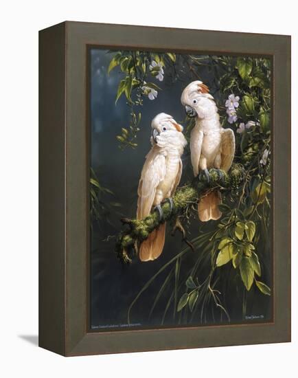 Salmon Crested Cockatoos-Michael Jackson-Framed Premier Image Canvas