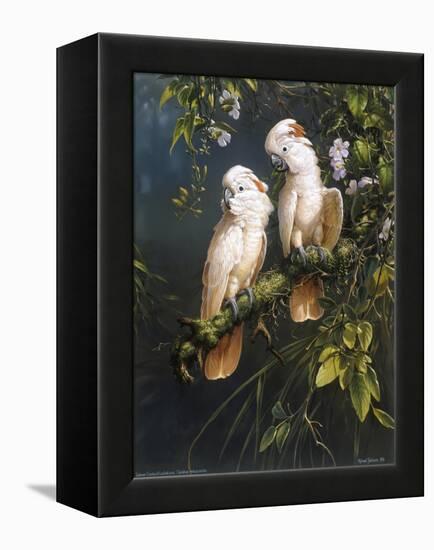 Salmon Crested Cockatoos-Michael Jackson-Framed Premier Image Canvas