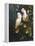 Salmon Crested Cockatoos-Michael Jackson-Framed Premier Image Canvas