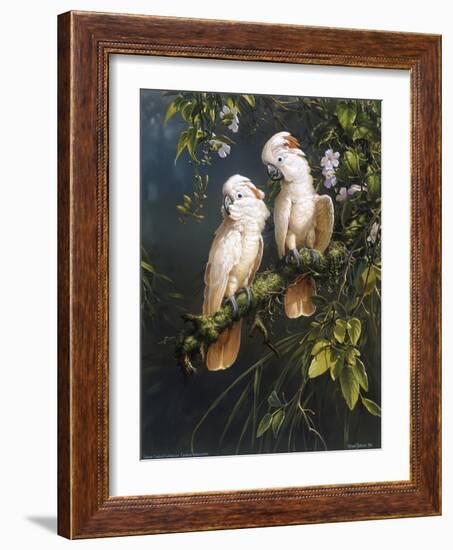 Salmon Crested Cockatoos-Michael Jackson-Framed Giclee Print