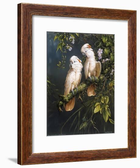 Salmon Crested Cockatoos-Michael Jackson-Framed Giclee Print