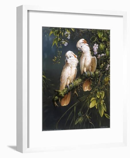 Salmon Crested Cockatoos-Michael Jackson-Framed Giclee Print