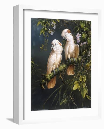 Salmon Crested Cockatoos-Michael Jackson-Framed Giclee Print