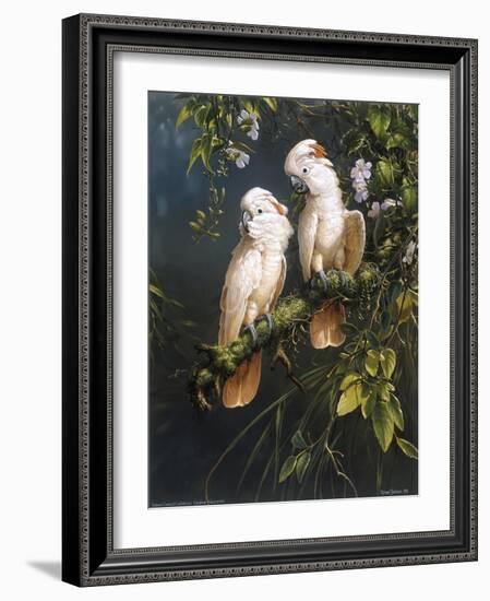 Salmon Crested Cockatoos-Michael Jackson-Framed Giclee Print