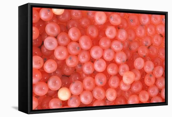 Salmon Eggs-Alan Sirulnikoff-Framed Premier Image Canvas