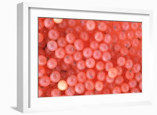 Salmon Eggs-Alan Sirulnikoff-Framed Photographic Print