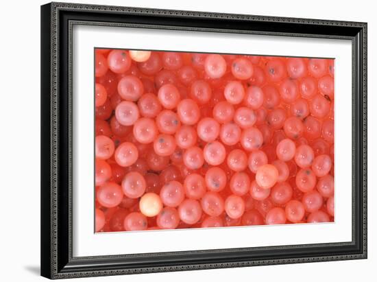 Salmon Eggs-Alan Sirulnikoff-Framed Photographic Print