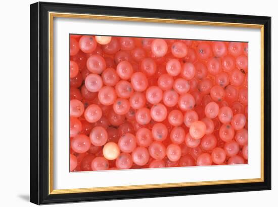 Salmon Eggs-Alan Sirulnikoff-Framed Photographic Print