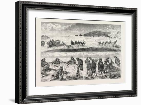 Salmon Fishing: Fishing Salmon-null-Framed Giclee Print