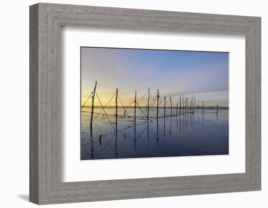 Salmon Fishing Nets, Solway Firth, Near Creetown, Dumfries and Galloway, Scotland, United Kingdom-Gary Cook-Framed Photographic Print