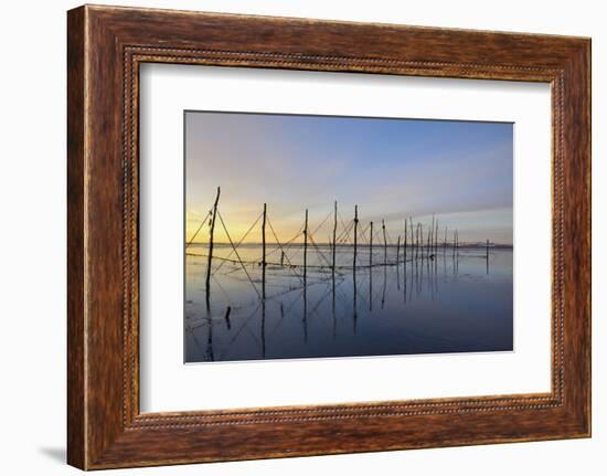 Salmon Fishing Nets, Solway Firth, Near Creetown, Dumfries and Galloway, Scotland, United Kingdom-Gary Cook-Framed Photographic Print