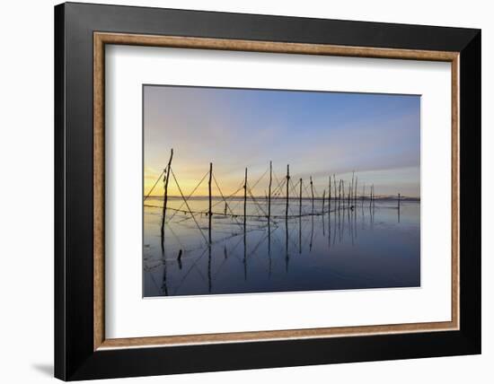 Salmon Fishing Nets, Solway Firth, Near Creetown, Dumfries and Galloway, Scotland, United Kingdom-Gary Cook-Framed Photographic Print