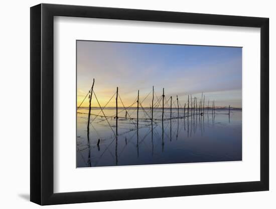 Salmon Fishing Nets, Solway Firth, Near Creetown, Dumfries and Galloway, Scotland, United Kingdom-Gary Cook-Framed Photographic Print