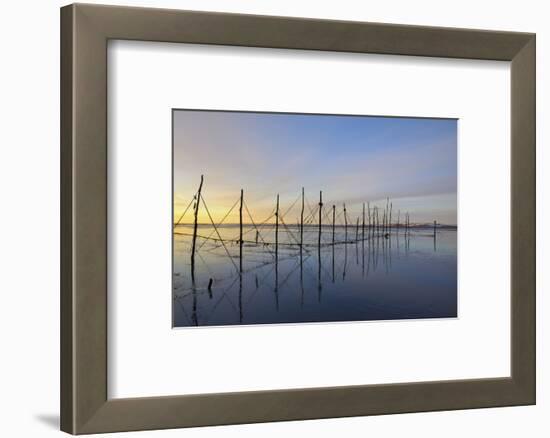 Salmon Fishing Nets, Solway Firth, Near Creetown, Dumfries and Galloway, Scotland, United Kingdom-Gary Cook-Framed Photographic Print